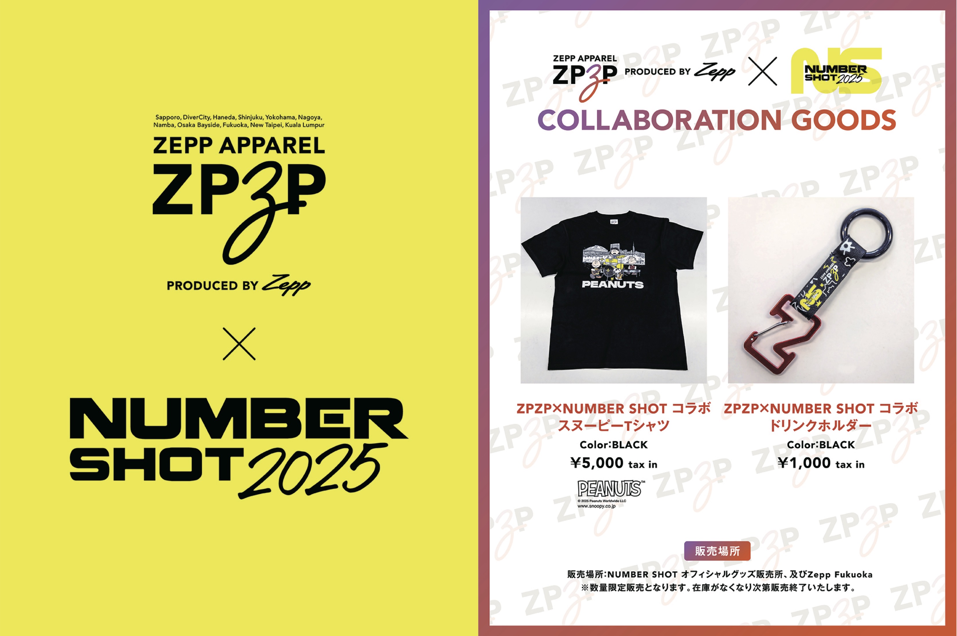 zepp-goods